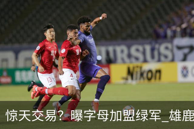 惊天交易？曝字母加盟绿军 雄鹿为布朗寻找第三方